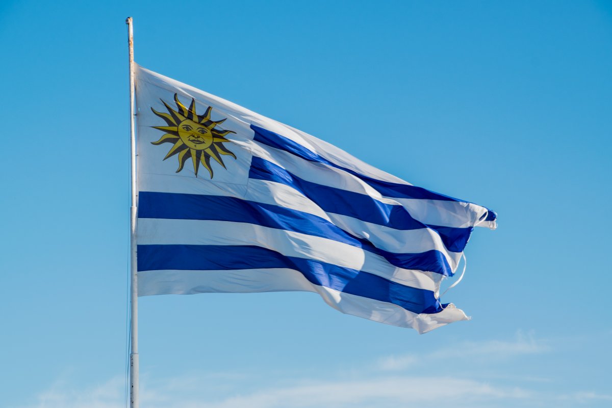 乌拉圭国旗图片 吓人图片