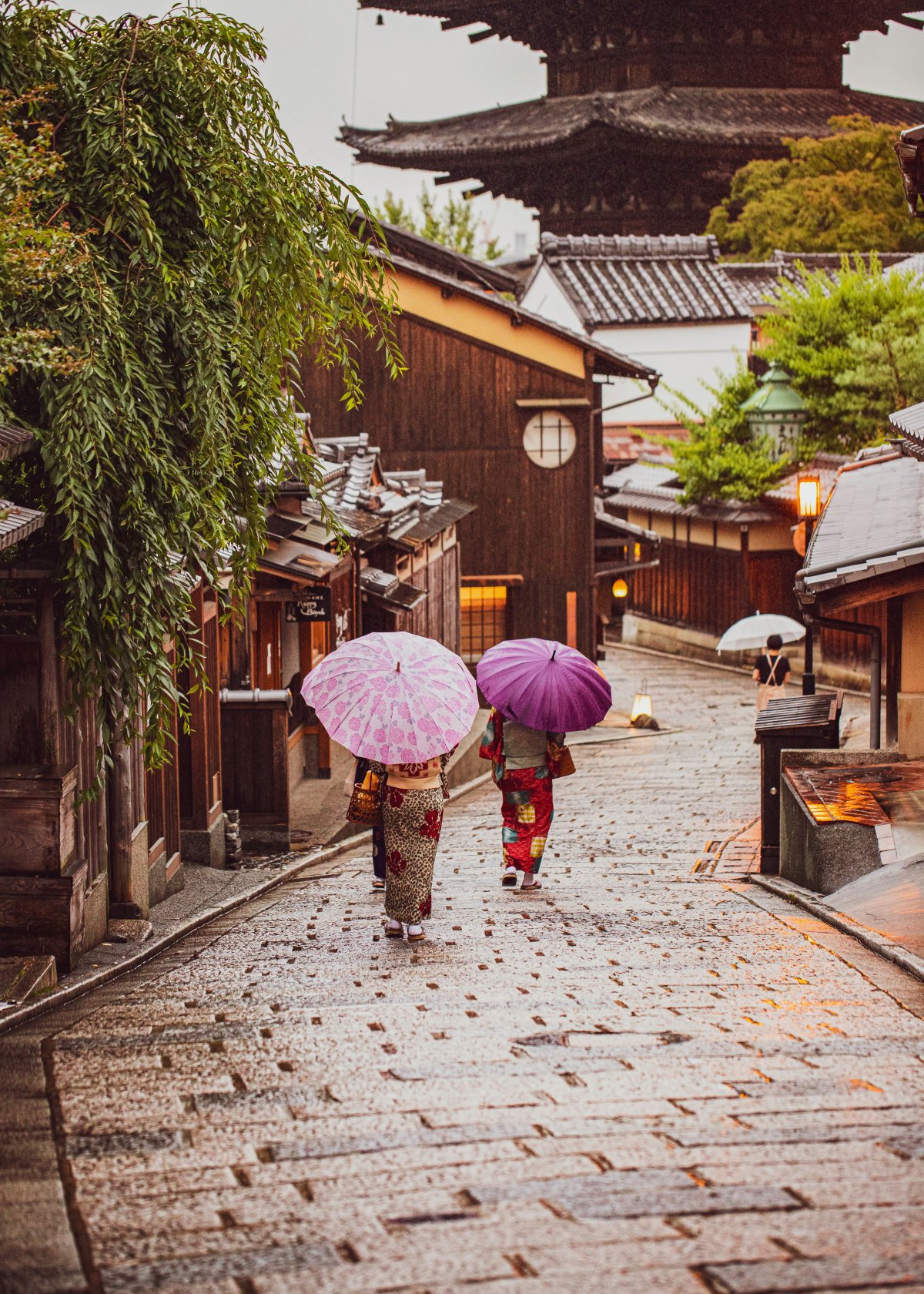日本和服樱花背影图片