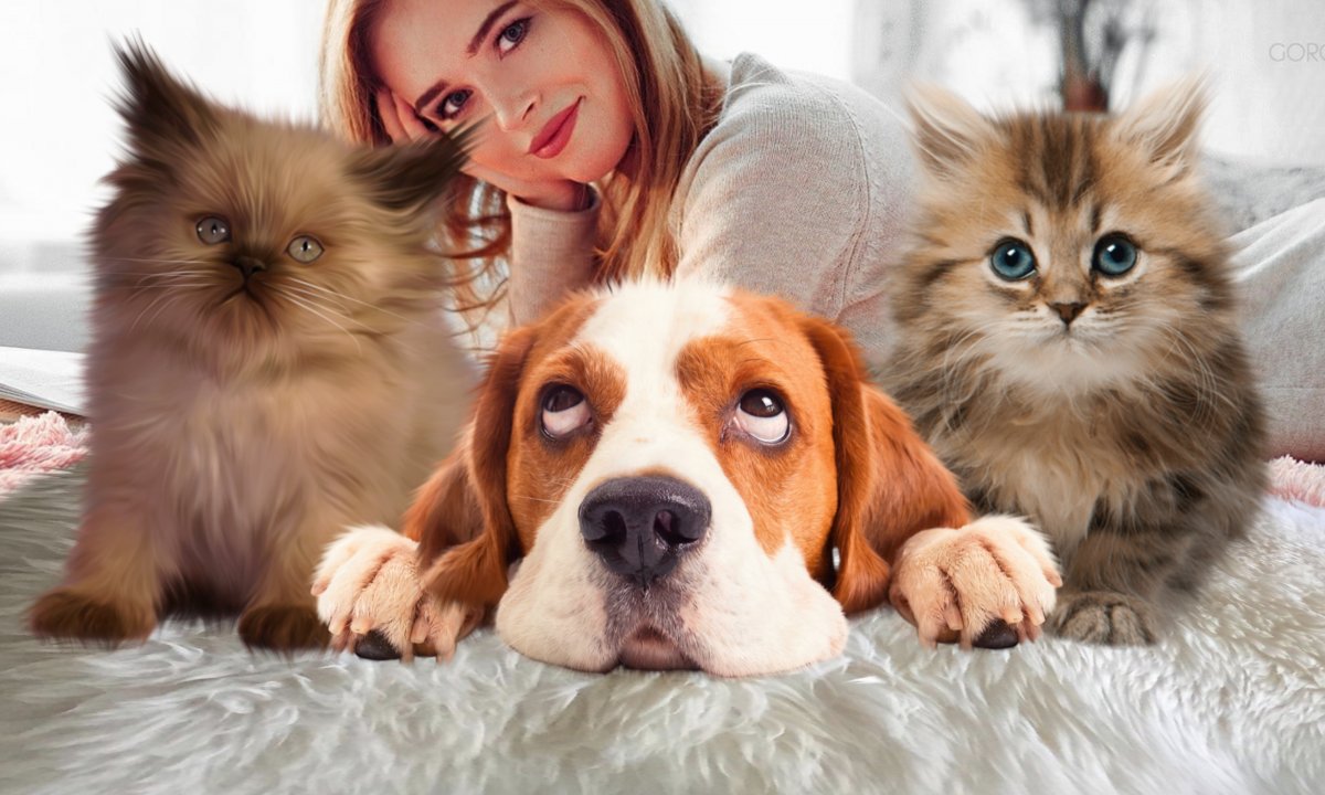 美女和小猫小狗图片