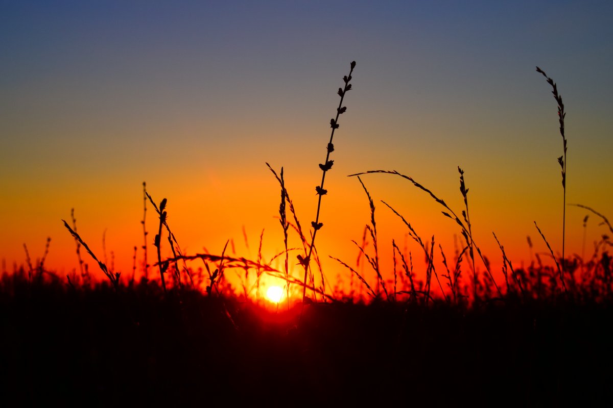 黎明破晓日出图片图片大全乡野度假美女看日出图片图片大全波光海面