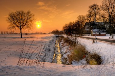 冬日清晨积雪景观图片
