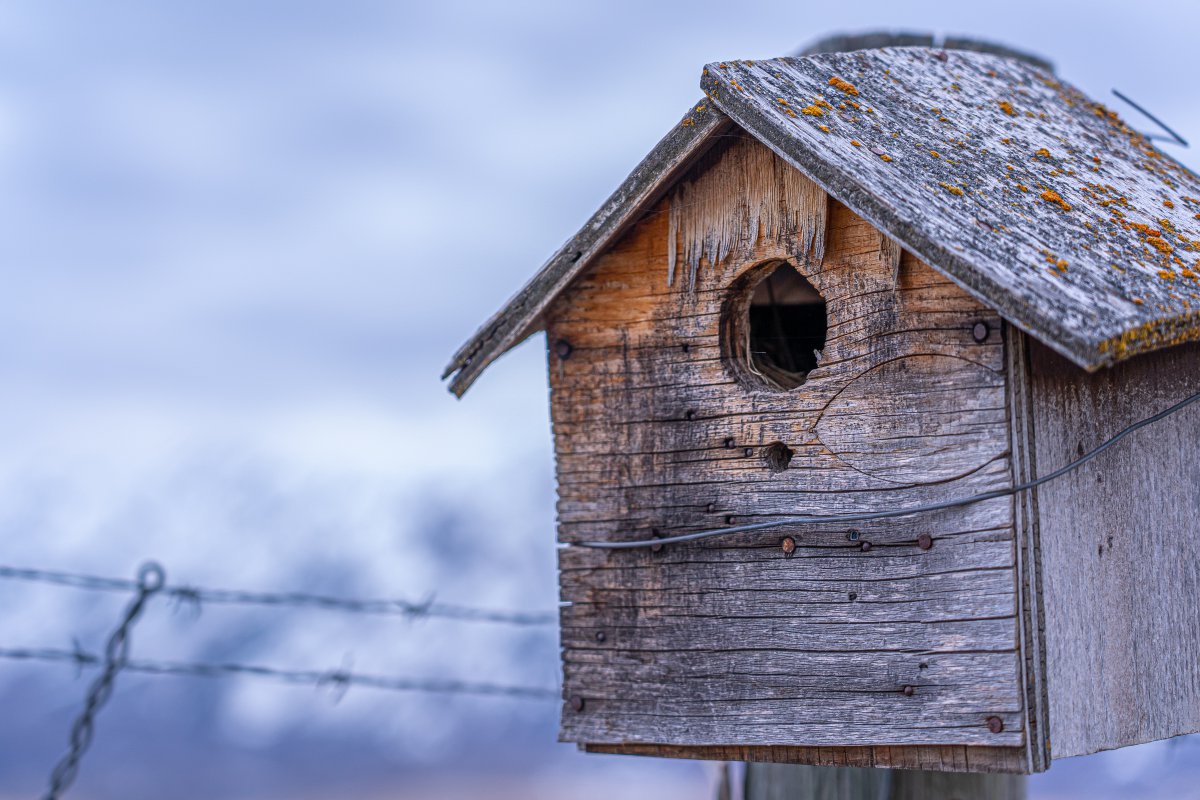 简介:一组精美的木制棕木鸟屋图片,木制,棕木,鸟屋,图片,标签:木屋鸟