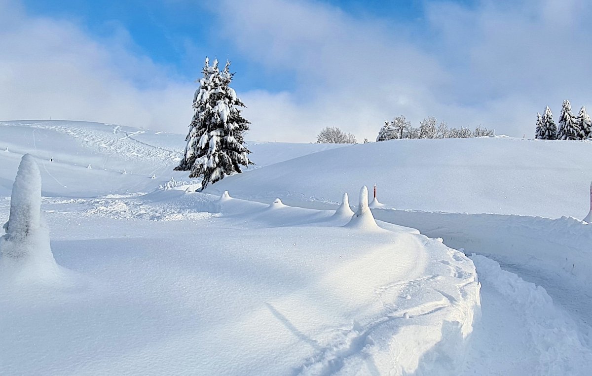 冬季高地積雪景觀圖片