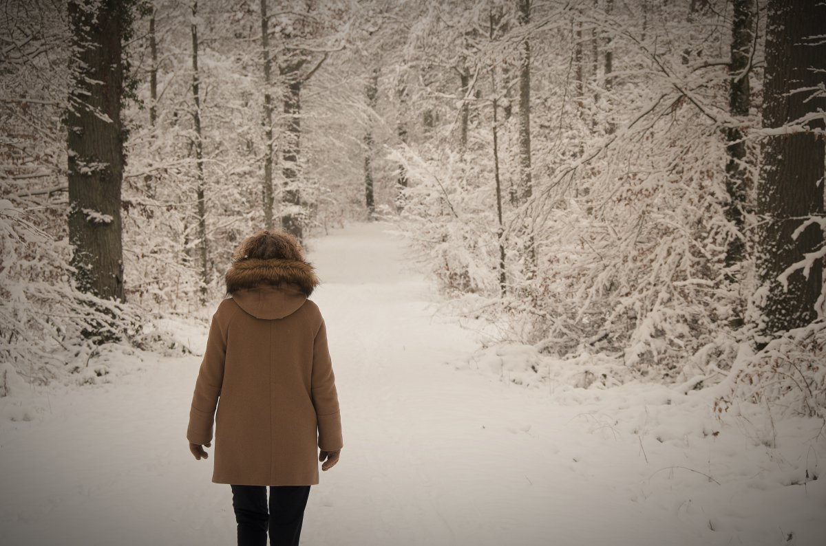 雪地女生背影图片图片