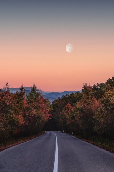 秋季黄昏树林公路风景图片