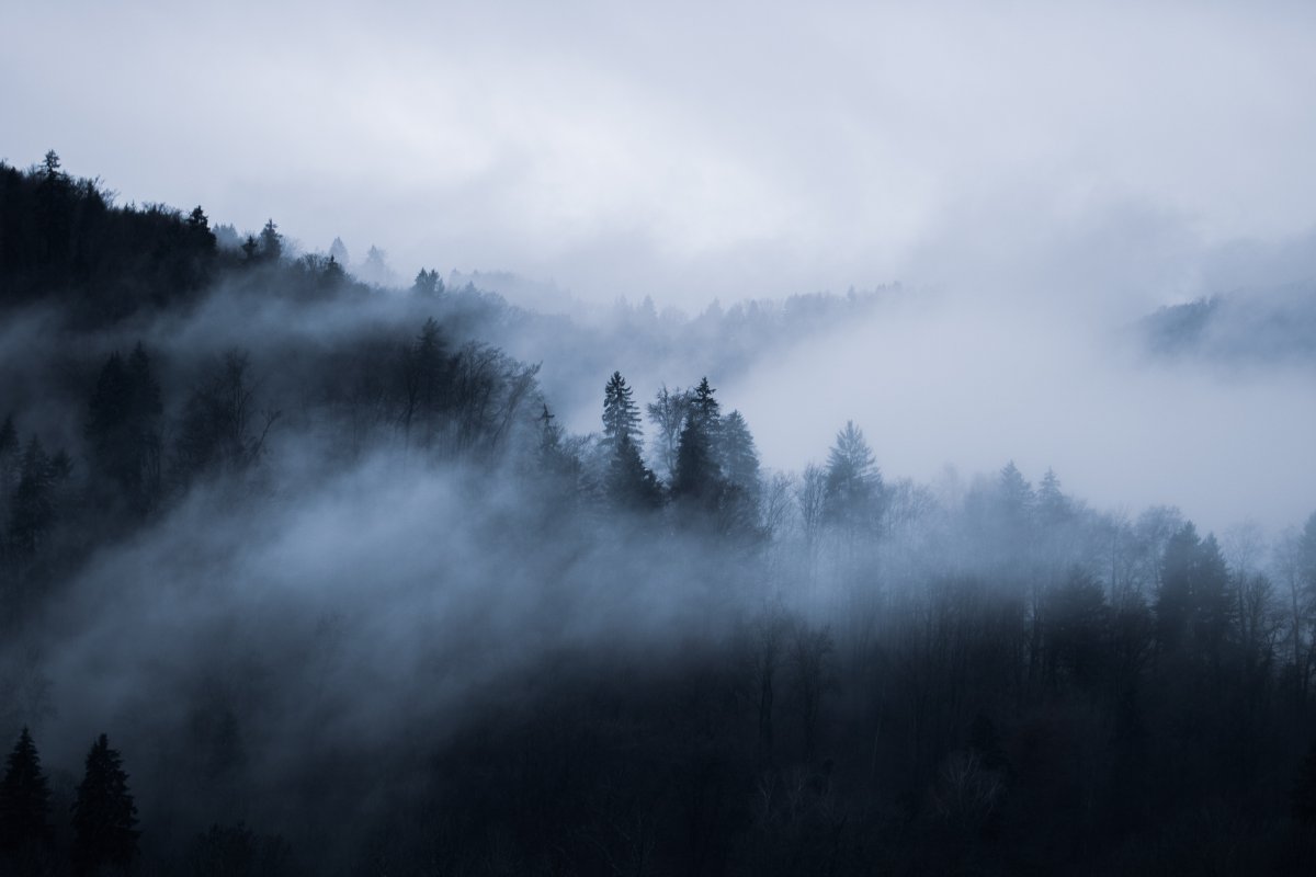 雾蒙蒙天气图片图片
