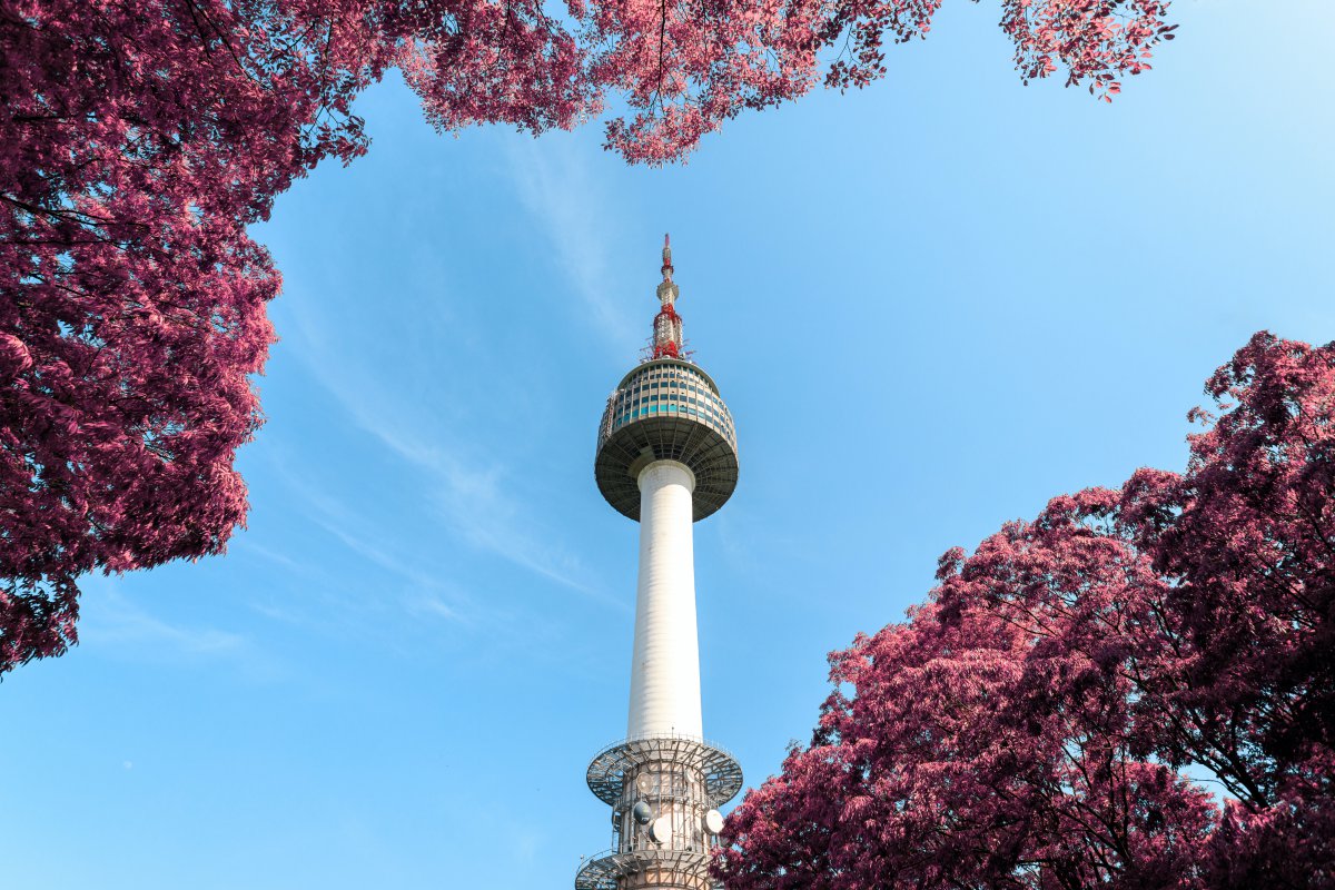 韩国首尔铁塔的建筑景观图片