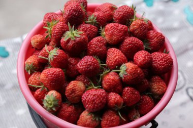 一张新鲜草莓的图片。