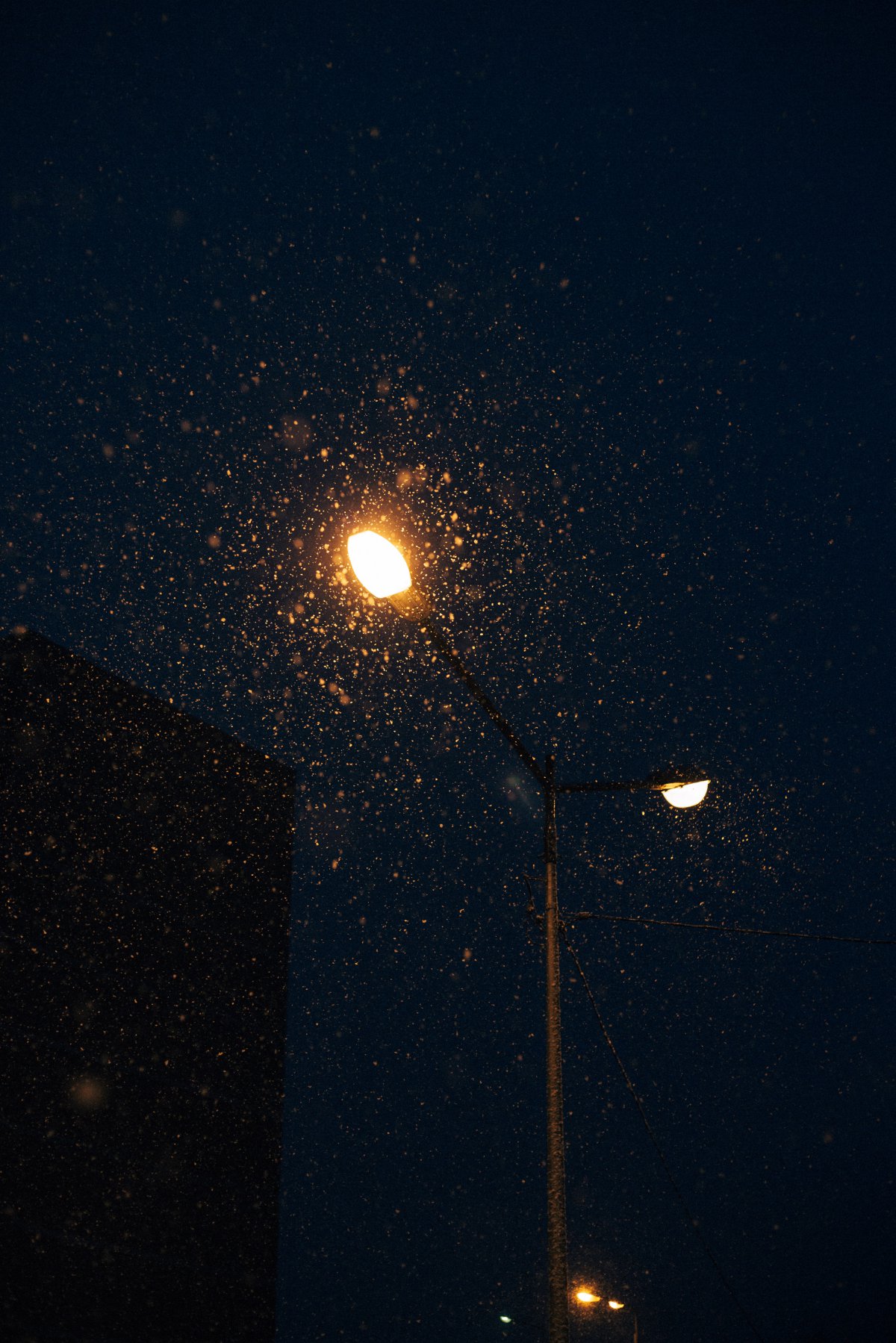 夜晚路灯图片背景图图片