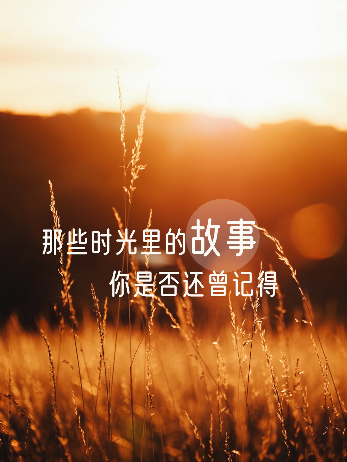 治癒系意境文字圖片