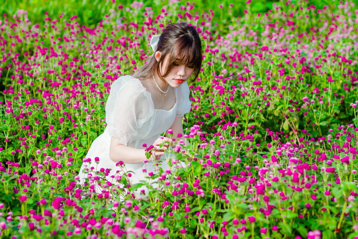 花坛摘花的漂亮美女图片