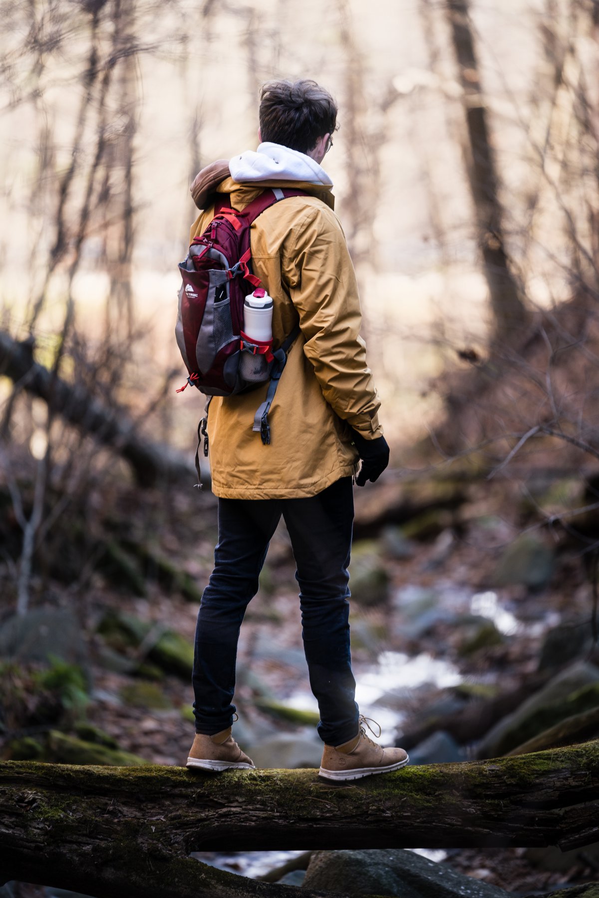 背包帅男丛林探险图片