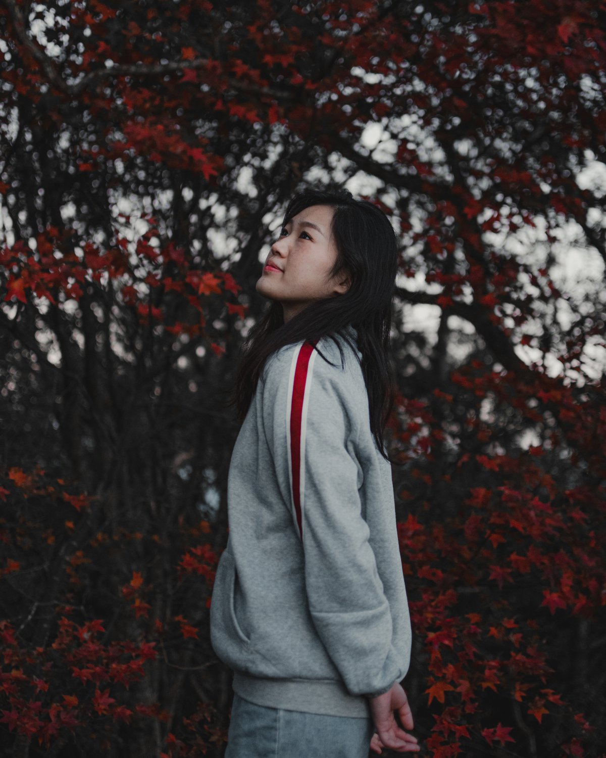 简介:一组精美的站在树下的女孩图片,站在,树下,女孩,图片,标签:亚洲