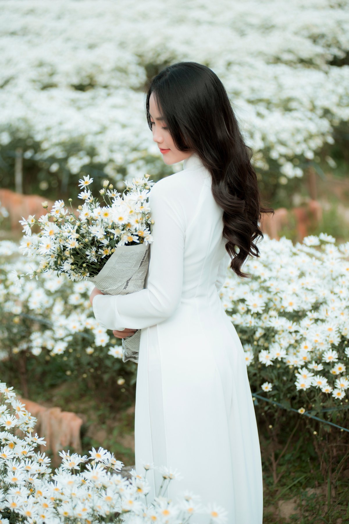 菊花丛中的美女背影图片