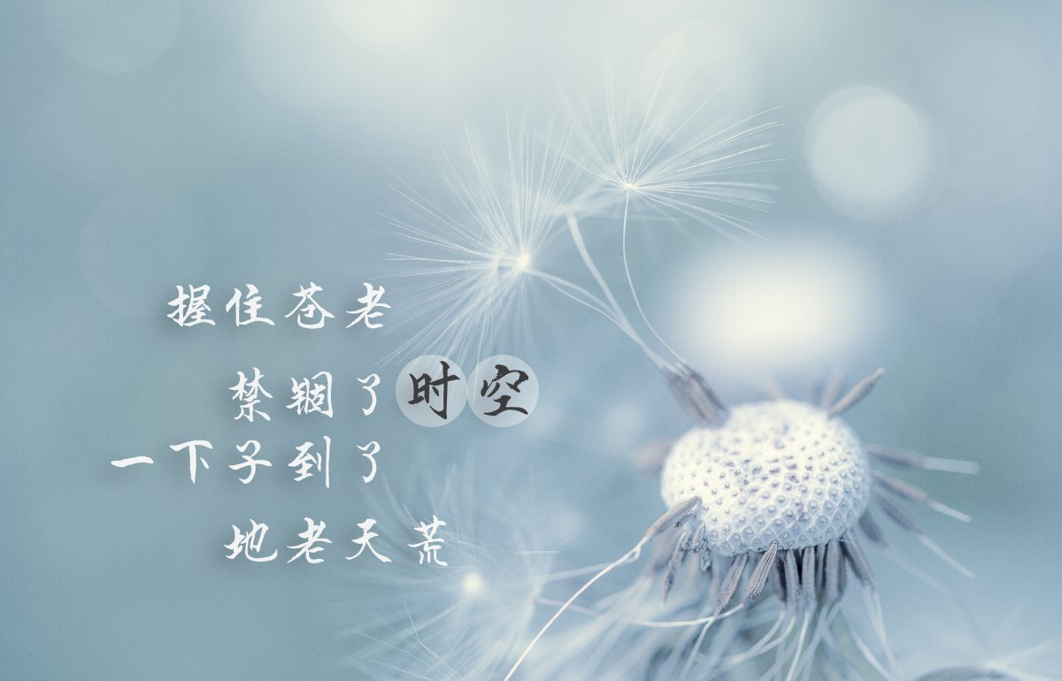 蒲公英带文字图片