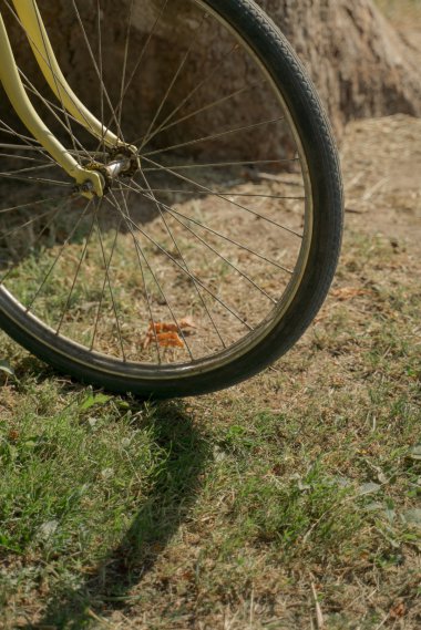 自行车车轮图片高清