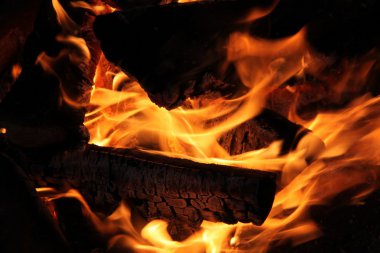 用木柴燃烧取暖的图片