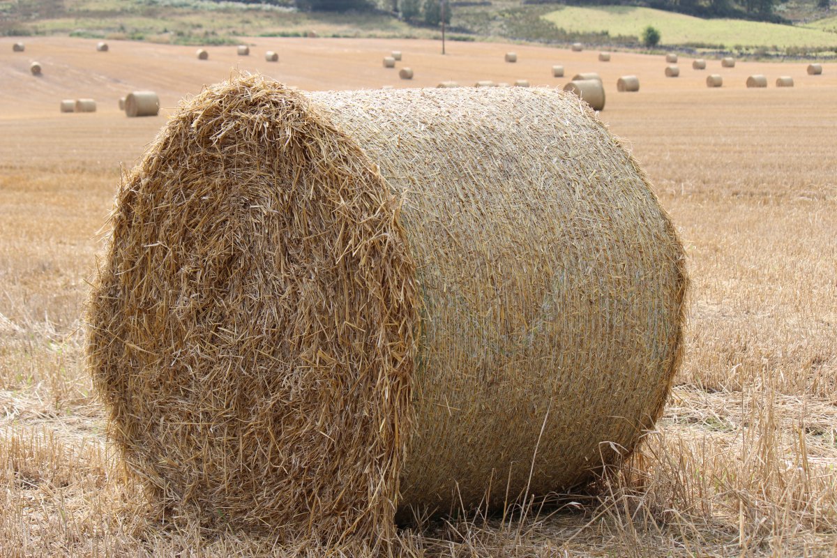 野外干草垛图片高清