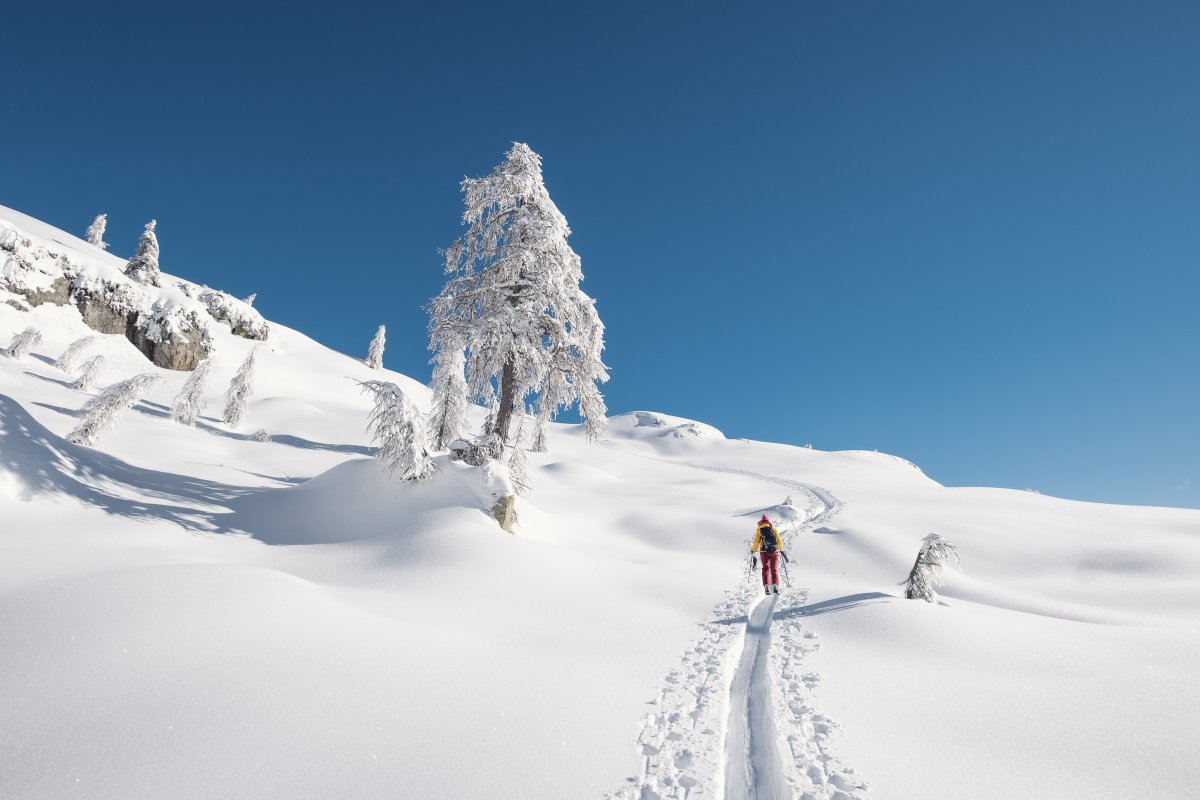 冬天在雪地里行走的人物背影图片
