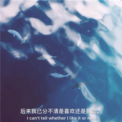 优美文字风景电影字幕头像