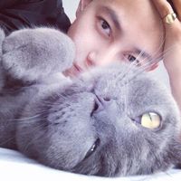 男生头像帅气阳光抱猫图片集