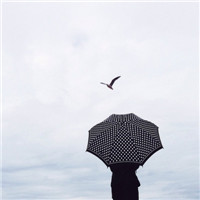 陌陌男生头像意境