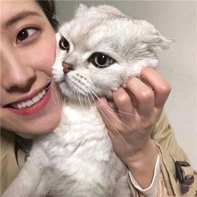 女生抱猫头像情侣图片