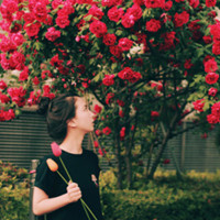 qq头像女生唯美侧面带花最新版