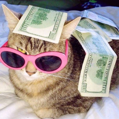 招财猫咪头像