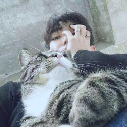 男生抱在怀里猫咪头像