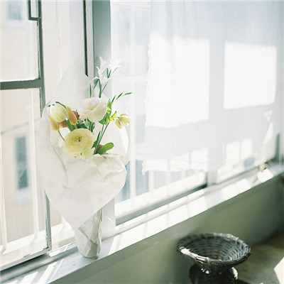 好看的白色干净唯美头像高清