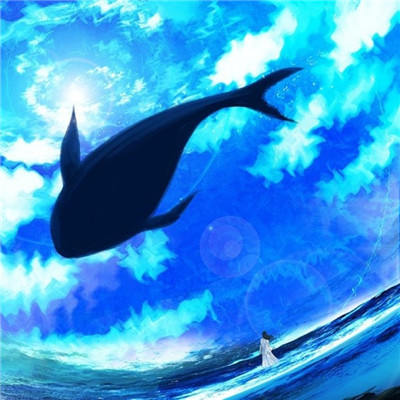 孤岛的鲸头像图片