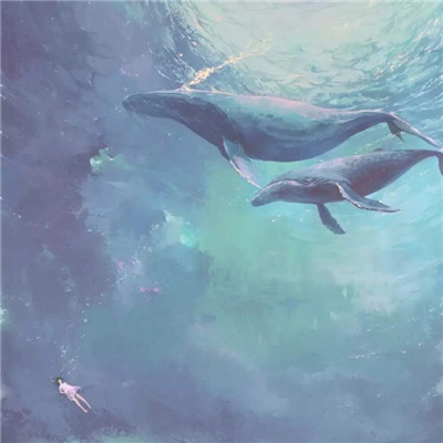 孤岛的鲸头像图片
