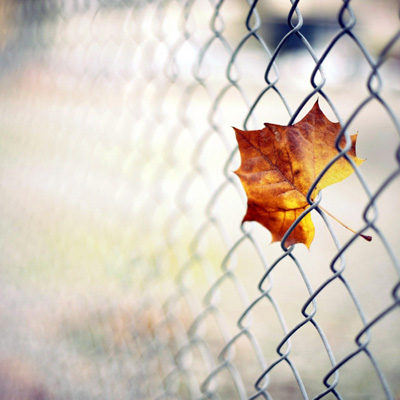 高清唯美伤感风景头像超好看