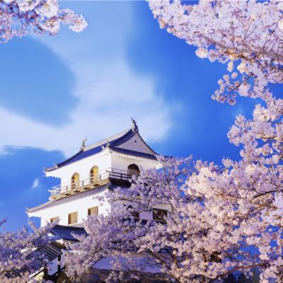 最新冬季鲜花唯美风景头像大全