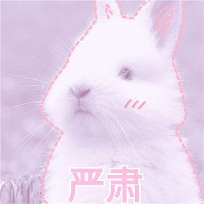 小兔子可爱超萌头像带字精选