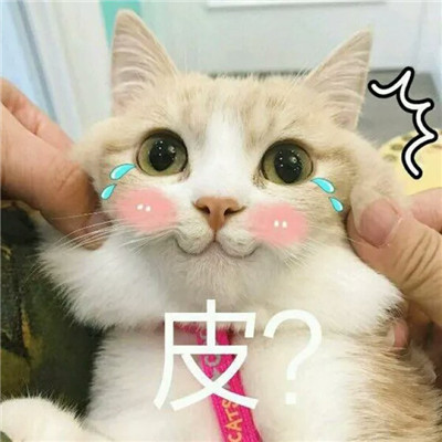 呆萌可爱喵星人头像带字高清图片