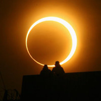 最新的创意十足的个性头像