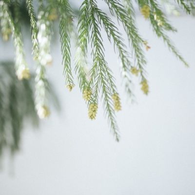 强迫症头像简约小清新风景头像最新