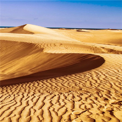 沙漠头像风景图片