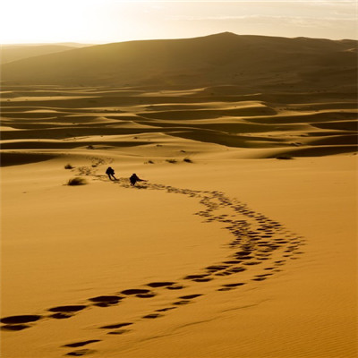 简单好看的沙漠自然风景头像高清