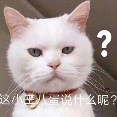 猫咪超级萌超级搞笑带字头像最新版
