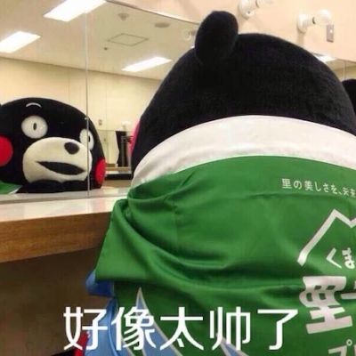 熊本熊搞笑呆萌带字头像最新