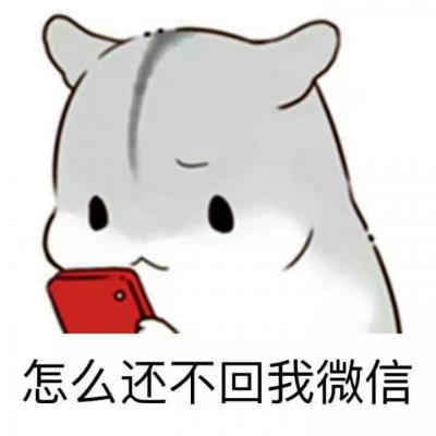 小仓鼠表情包搞笑头像图片萌萌哒