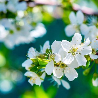 高清唯美风景头像大全