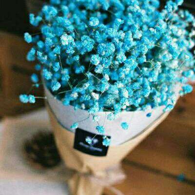 满天星花束头像图片大全