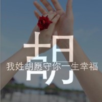 姓胡的图片文字头像