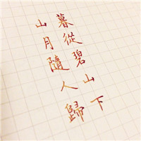 好诗句摘抄文字头像图片