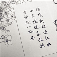 好诗句摘抄文字头像图片