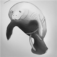 英雄联盟海牛头像